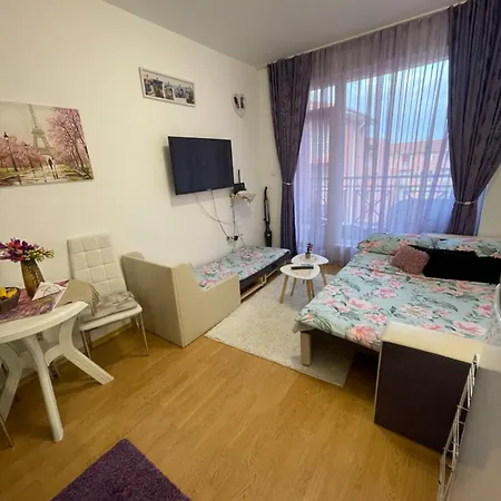 Апартаменты студио Sunny Day 6 Sunny