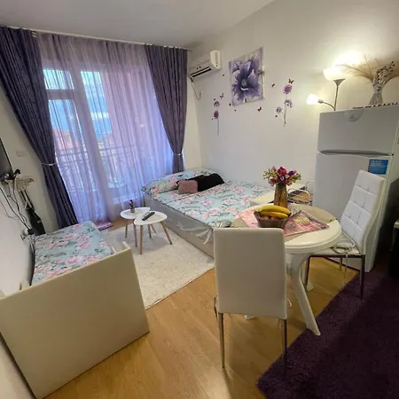 студио Sunny Day 6 Sunny Солнечный берег