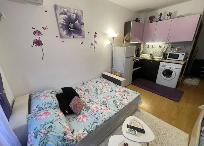 студио Sunny Day 6 Sunny Slăntjev Brjag