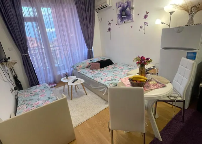 студио Sunny Day 6 Sunny Slăntjev Brjag