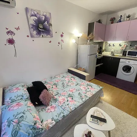 студио Sunny Day 6 Sunny Słoneczny Brzeg