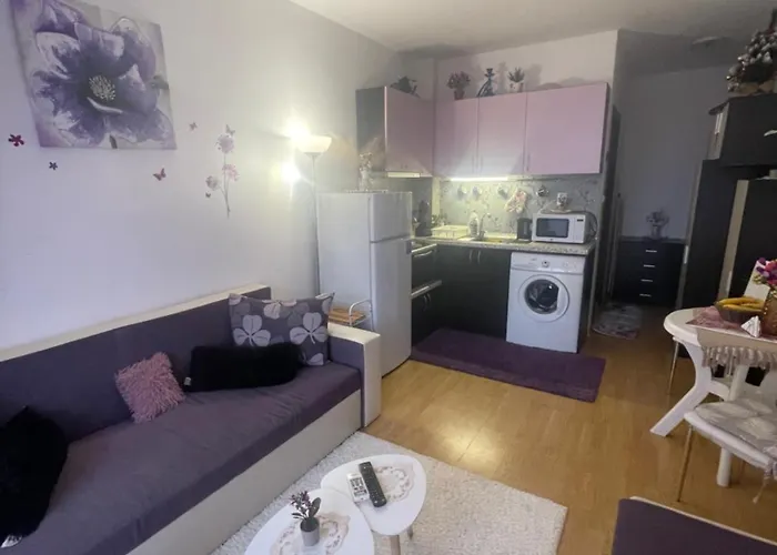 студио Sunny Day 6 Sunny Apartament Słoneczny Brzeg